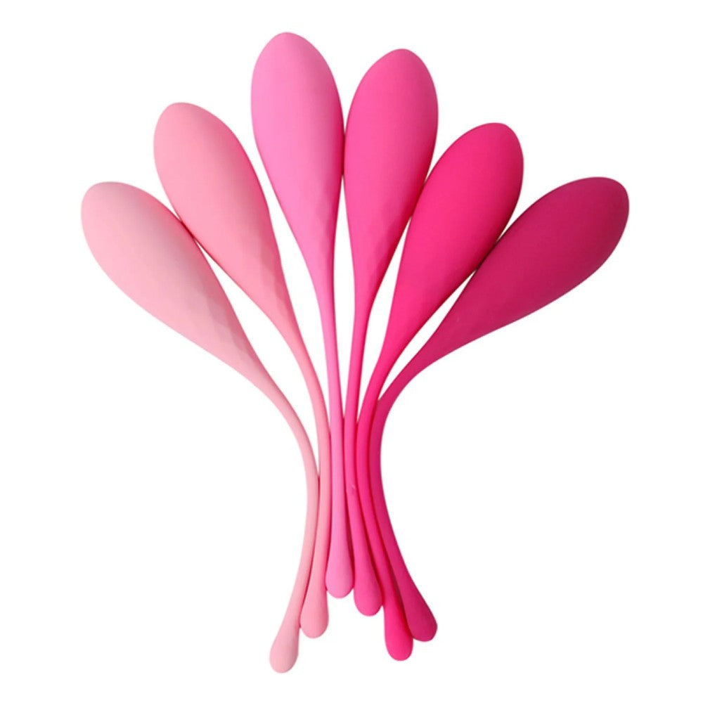 Feelztoys FemmeFit Pelvic Muscle Training Set 6 pcs