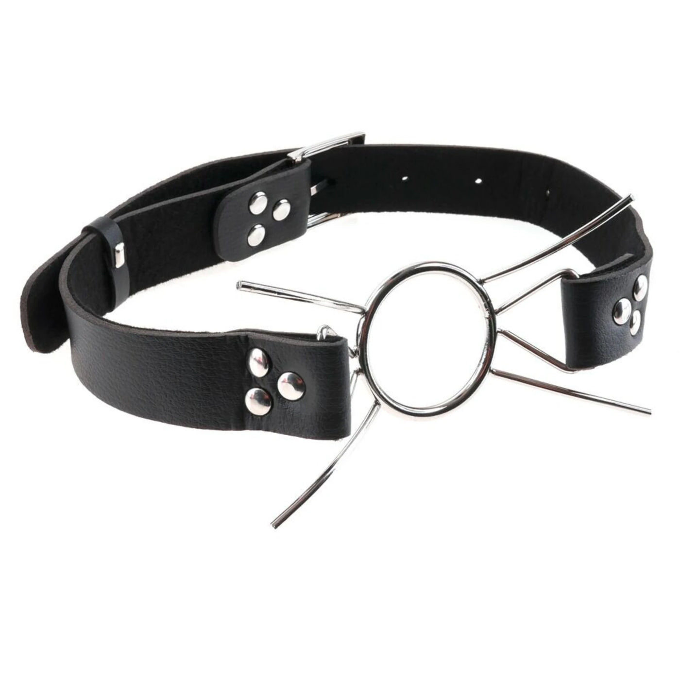 Pipedream Fetish Fantasy Extreme Spider Gag O-Ring Ağızlık