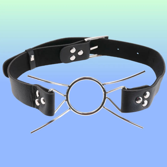 Pipedream Fetish Fantasy Extreme Spider Gag O-Ring Ağızlık