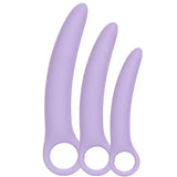 Calexotics Alena Set of 3 Pcs. Dilatör Set
