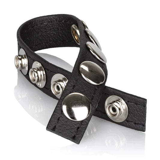 Calexotics Leather Multi-Snap Ring Deri Penis Halkası