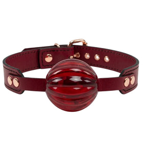 Erox Fetish Fantasy Series Master Blix Ball Gag Deri Ağız Topu-Kırmızı