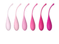 FeelzToys FemmeFit Kegel Training Set 6 st