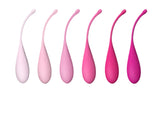 FeelzToys FemmeFit Kegel Training Set 6 st