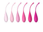 FeelzToys FemmeFit Kegel Training Set 6 st