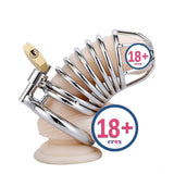 Erox Dreams Metal Halkalı Penis Kafesi ve Penis Kilidi 45 Mm