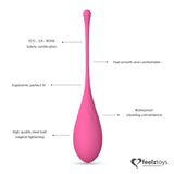FeelzToys FemmeFit Kegel Training Set 6 st