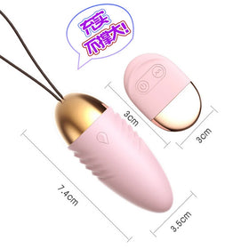 Erox Spark Pink Vibration Giyilebilir Uzaktan Kumandalı Vibratör