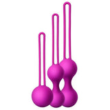 Erox Kegel Balls Exercisers Metal Ağırlıklı Kegel Egzersiz Topu Set-D.Purple
