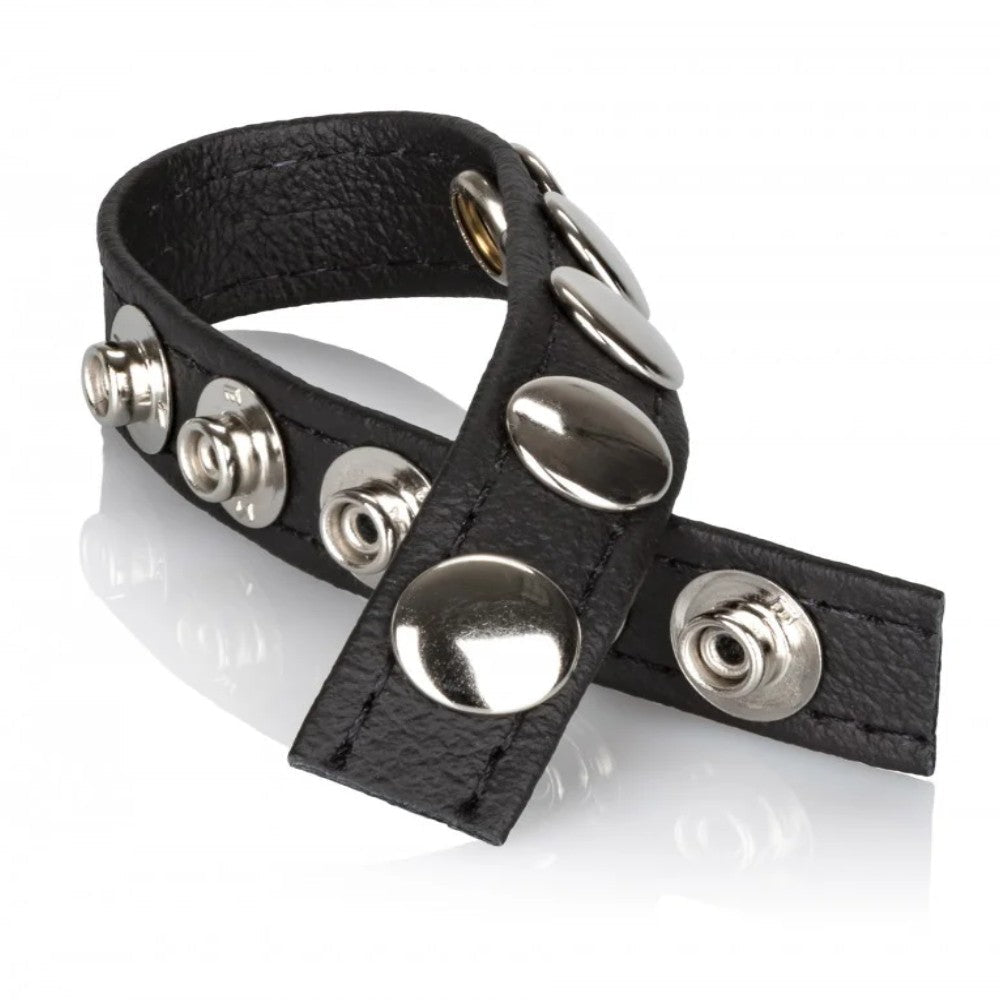 Calexotics Leather Multi-Snap Ring Deri Penis Halkası